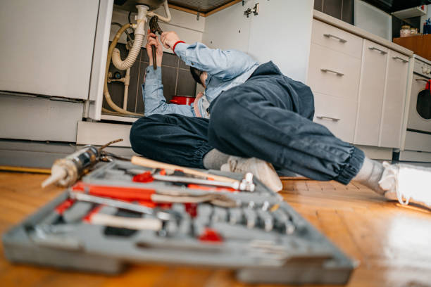 Professional Plumbing in Carl Junction, MO